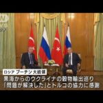 プーチン大統領　トルコ・エルドアン大統領と会談(2022年8月6日)