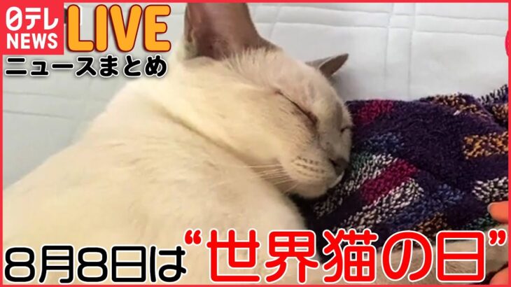 【ライブ】世界猫の日：ネコニュースまとめ―黒猫のお手柄/座り方ブスしょぼぼ/猫パンチ/ 障子があっても突き進む猫/「猫にまたたび」の謎を解明　など (日テレNEWS LIVE)