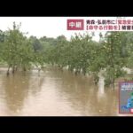 無念…成長のさなかの実もぎ取るリンゴ農園　青森・弘前市で大雨被害(2022年8月9日)