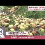 「疫病で腐る…もうダメ」収穫目前に…大雨でリンゴ農園が浸水　生産量減に懸念も(2022年8月9日)