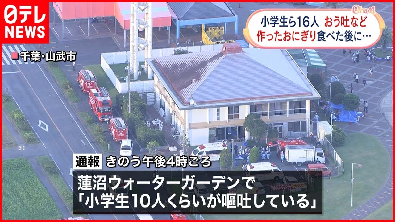 【食中毒か】自分たちで作ったおにぎり食べ 小学生ら16人“嘔吐”など体調不良