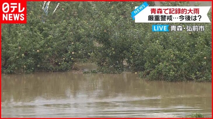 【記録的大雨】岩木川沿いから中継 青森・弘前市