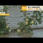 東北で“記録的豪雨”　青森リンゴに影響「疫病で腐る」…さらなる大雨被害も心配(2022年8月10日)