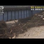 青森で鉄道運休や住宅浸水　秋田は農業被害が深刻に(2022年8月10日)