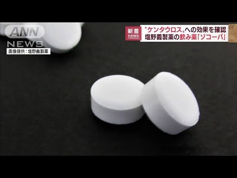 「ケンタウロス」にも有効性　塩野義のコロナ飲み薬(2022年8月10日)