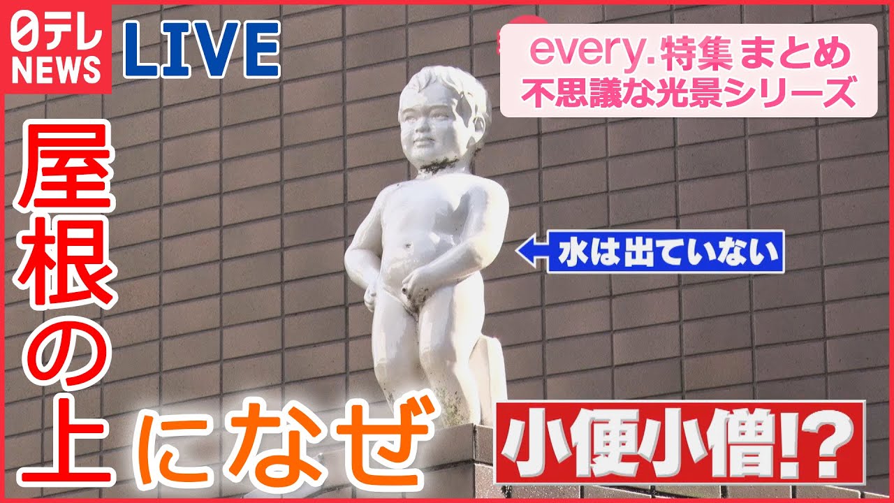【ライブ】東京の不思議な光景 / 東海道新幹線の舞台ウラ / 立ち入り禁止のその先は? / アナタの知らない大都会 など every.特集厳選アーカイブより