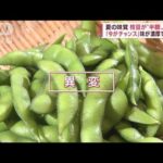 枝豆“半額”今年ならではのワケ…夏の天候不順と関係が“ウマい食べ方”話題に(2022年8月11日)