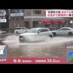 “記録的大雨”東北で降りやまず…浸水被害が拡大　お盆名物の花火大会も延期に(2022年8月11日)