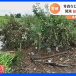 泥水に飲み込まれるリンゴ園　東北で大雨続く　お盆期間中、関東に“台風”が直撃も｜TBS NEWS DIG