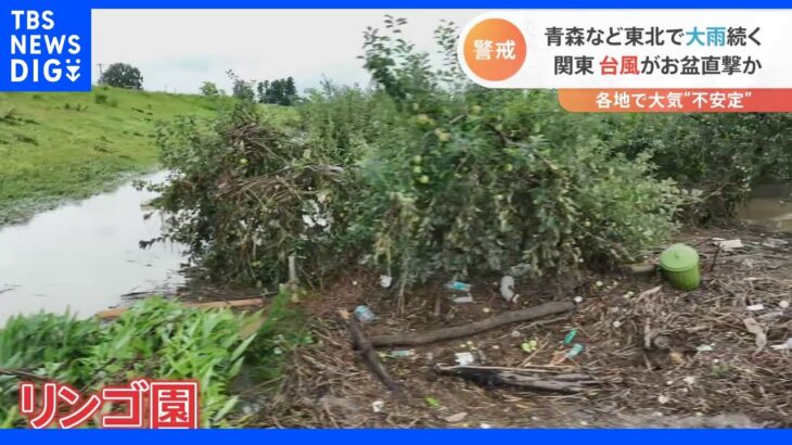泥水に飲み込まれるリンゴ園　東北で大雨続く　お盆期間中、関東に“台風”が直撃も｜TBS NEWS DIG