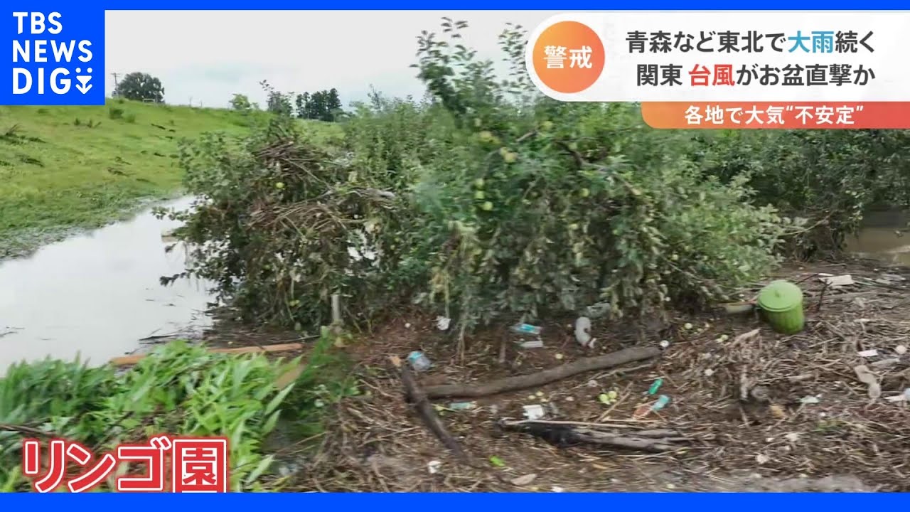 泥水に飲み込まれるリンゴ園　東北で大雨続く　お盆期間中、関東に“台風”が直撃も｜TBS&nbsp;NEWS&nbsp;DIG