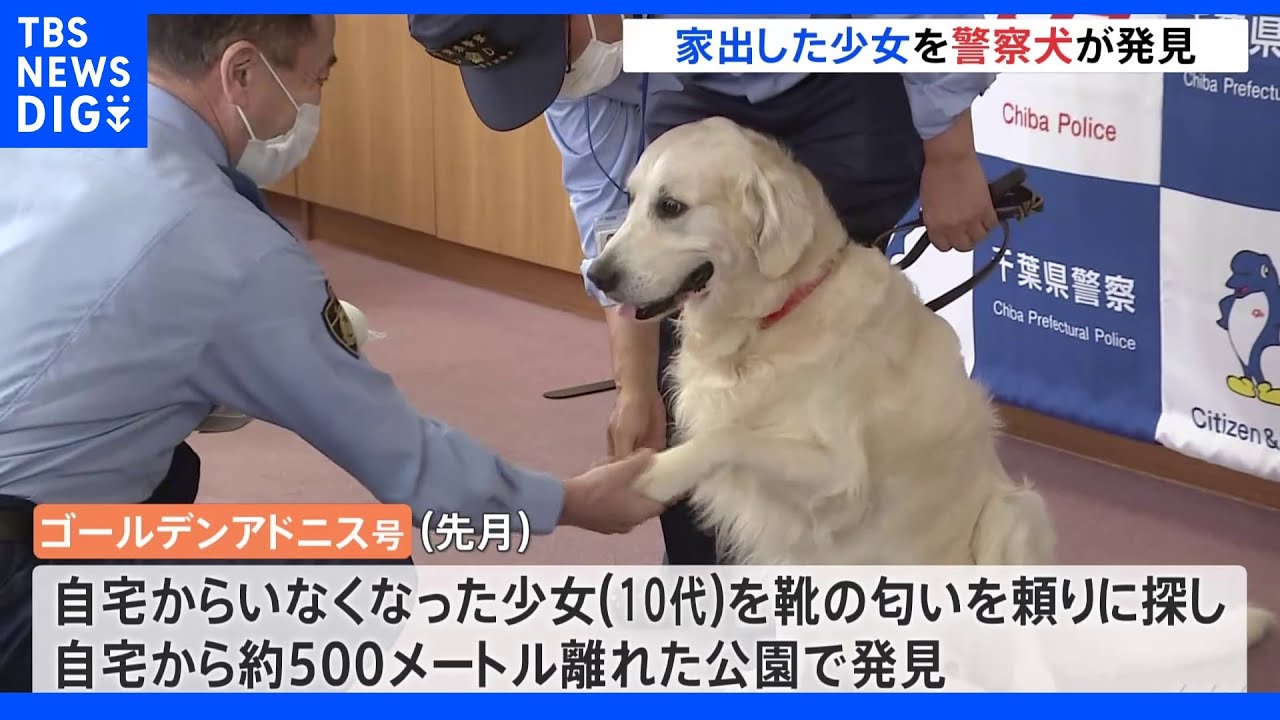 靴の匂いを頼りに家出少女を発見　警察犬に感謝状｜TBS&nbsp;NEWS&nbsp;DIG