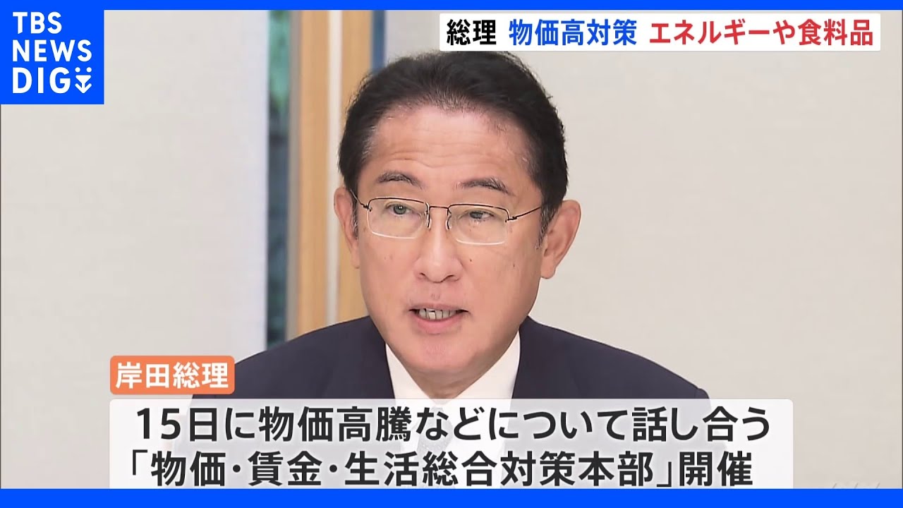 総理&nbsp;物価高の中心である「エネルギー・食料品に集中して追加策打ち出す」と表明　今月15日に物価高騰を話し合う対策本部を開催｜TBS&nbsp;NEWS&nbsp;DIG