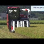 夏空の下で稲刈り…「早場米」の収穫が最盛期　徳島・阿南市の見能林地区（2022年8月13日）