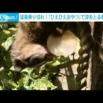 「ひえひえおやつタイム」動物たちに“果実の氷” 富山市ファミリーパーク(2022年8月14日)