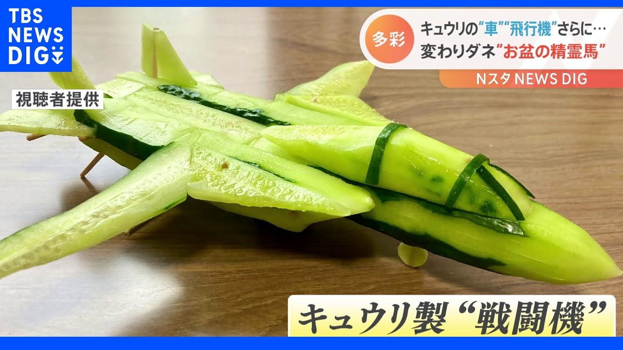 “ナス製ベンツ”に“キュウリ製戦闘機”さらに実際に乗れるキュウリまで!まるで“自由研究”のような精霊馬が話題!|TBS NEWS DIG