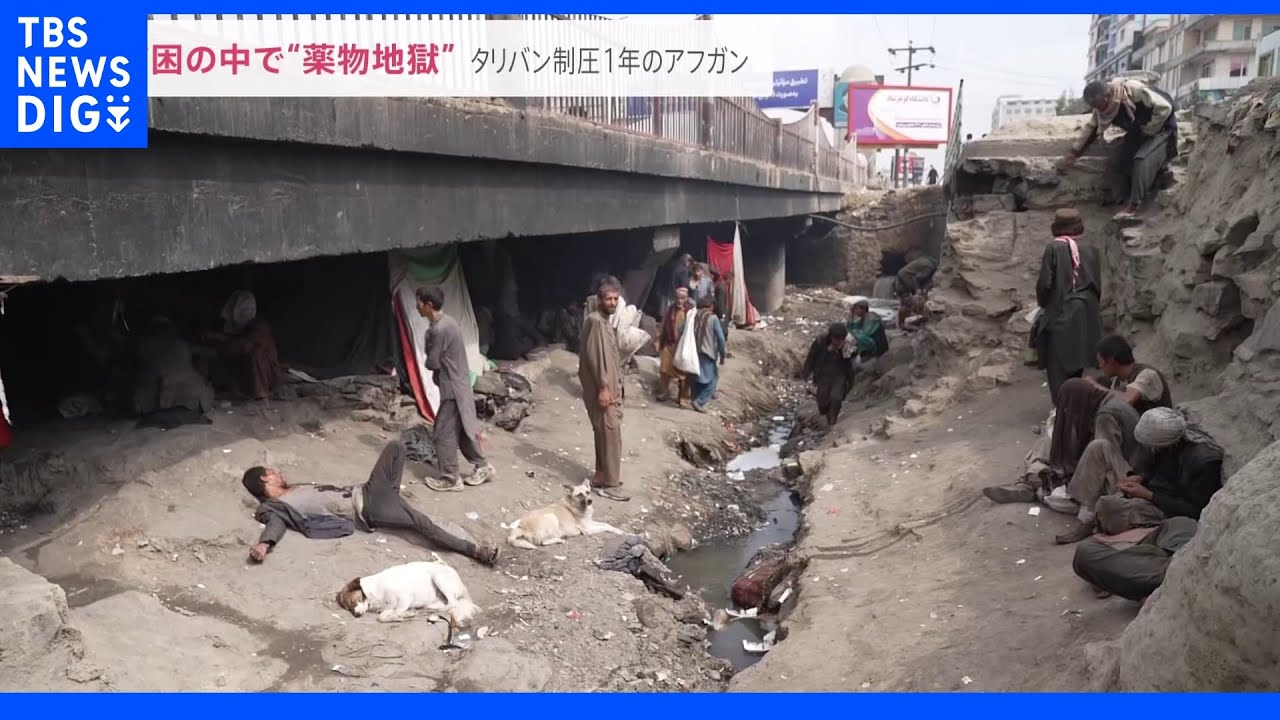 「地獄どころの騒ぎじゃない」貧困の先に…橋の下に“薬物地獄”があった タリバン制圧1年のアフガンを緊急取材|TBS NEWS DIG