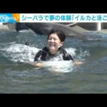 並木アナ　シーパラで夢の体験「イルカと泳ごう」(2022年8月17日)