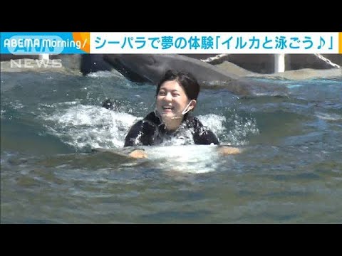 並木アナ　シーパラで夢の体験「イルカと泳ごう」(2022年8月17日)