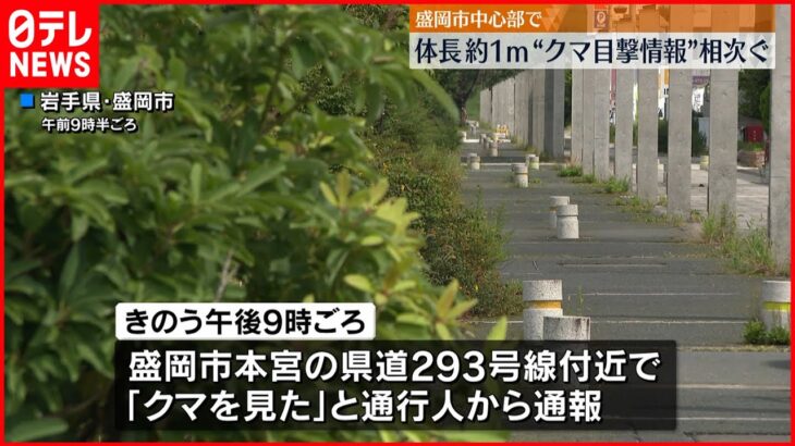 【警察が注意呼びかけ】盛岡市中心部でクマの目撃情報相次ぐ