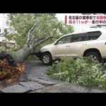 街路樹が倒れ走行中の車を直撃　名古屋の繁華街・栄(2022年8月17日)