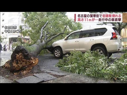 街路樹が倒れ走行中の車を直撃　名古屋の繁華街・栄(2022年8月17日)