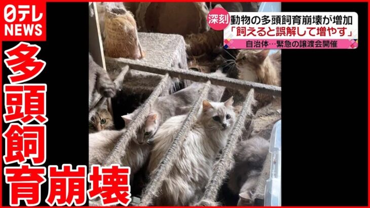 【多頭飼育崩壊】「飼えると誤解して増やす」 自治体が“緊急”譲渡会も