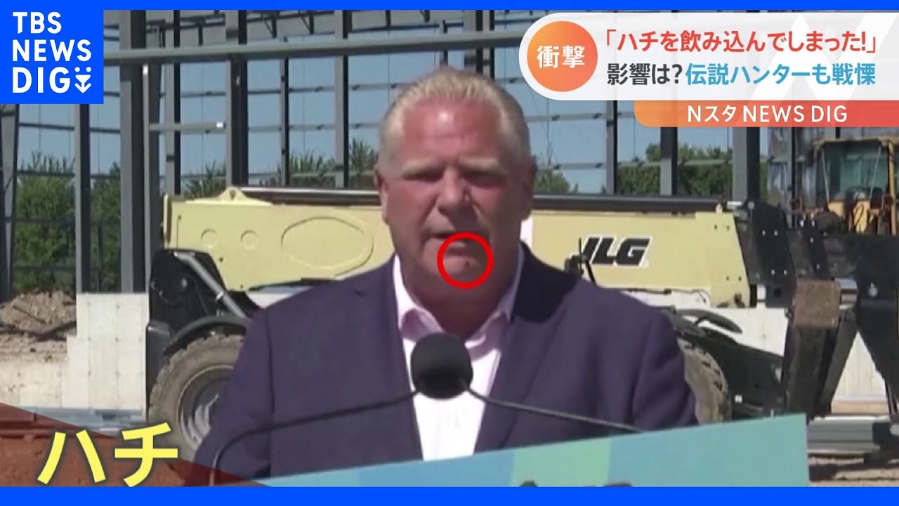 “伝説の蜂ハンター”も真っ青「いまだに信じられない」 カナダ州首相が会見中ハチを飲み込んじゃった!|TBS NEWS DIG