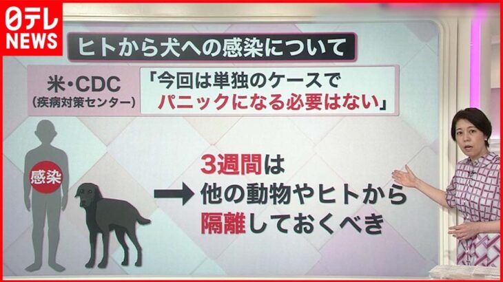 【解説】サル痘“人から犬に感染”初確認 ペットとの接し方・注意点は？