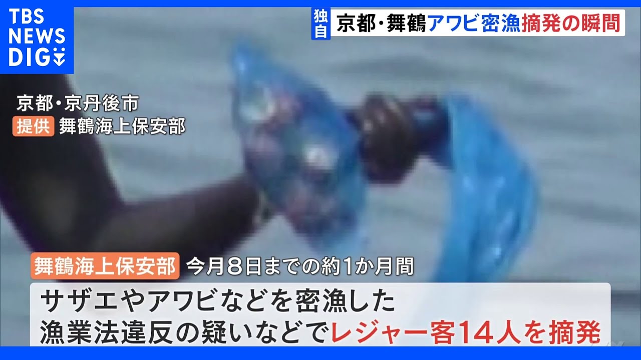 【独自】“行動制限解除で急増”密漁摘発の瞬間　サザエやアワビなどを密漁した疑いでレジャー客14人を摘発｜TBS&nbsp;NEWS&nbsp;DIG