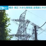 送電線に木が接触し放電か　横浜・泉区「爆発音と煙」(2022年8月19日)
