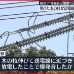 【横浜で“爆発音”】通報相次ぐ 伸びた木の枝が送電線に近づき発生か