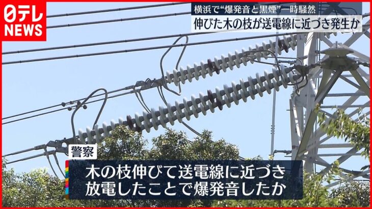 【横浜で“爆発音”】通報相次ぐ 伸びた木の枝が送電線に近づき発生か