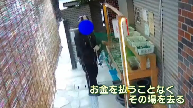 高値で売買される「メダカ」　ブームの陰で盗難も…無人販売所では12万円以上の被害（2022年8月19日）