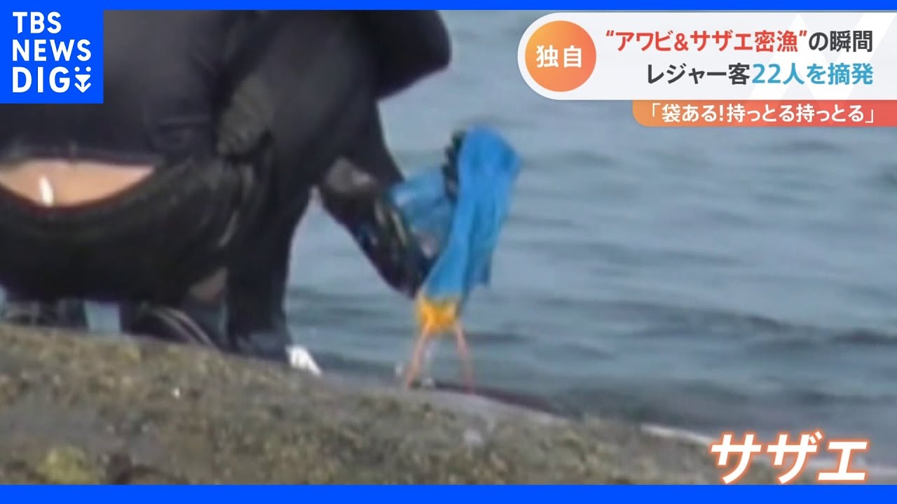 【独自】“行動制限解除で急増”密漁摘発の瞬間　サザエやアワビなどを密漁した疑いでレジャー客14人を摘発｜TBS&nbsp;NEWS&nbsp;DIG