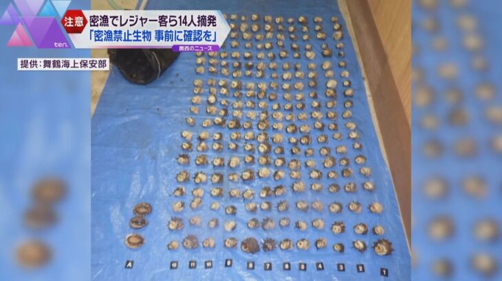 アワビやサザエなどを密漁でレジャー客など１４人摘発　舞鶴海上保安部　約５００個捕っていたケースも