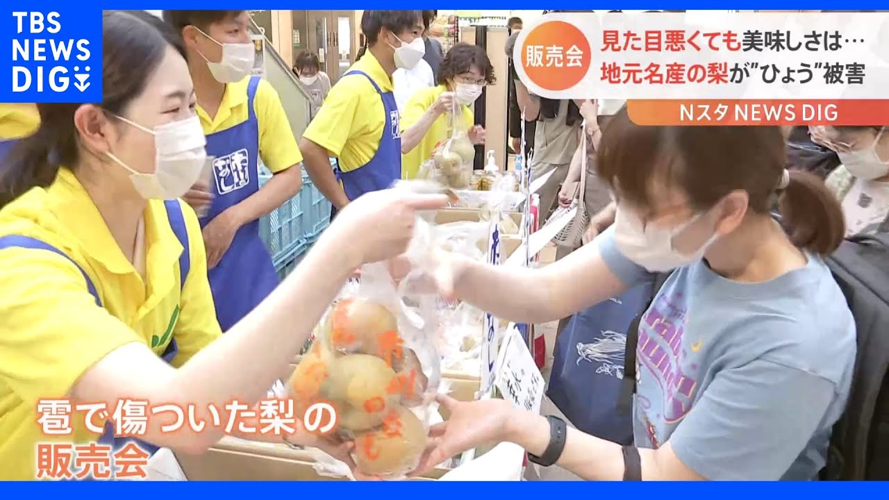 「なんとか販売したい」「農家の人がそれで助かれば」雹で傷ついた梨の販売会　千葉・市川｜TBS&nbsp;NEWS&nbsp;DIG