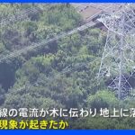 横浜・泉区で「爆発音」と通報相次ぐ 送電線から木に放電か｜TBS NEWS DIG