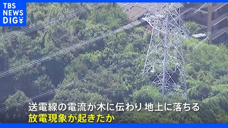 横浜・泉区で「爆発音」と通報相次ぐ 送電線から木に放電か｜TBS NEWS DIG