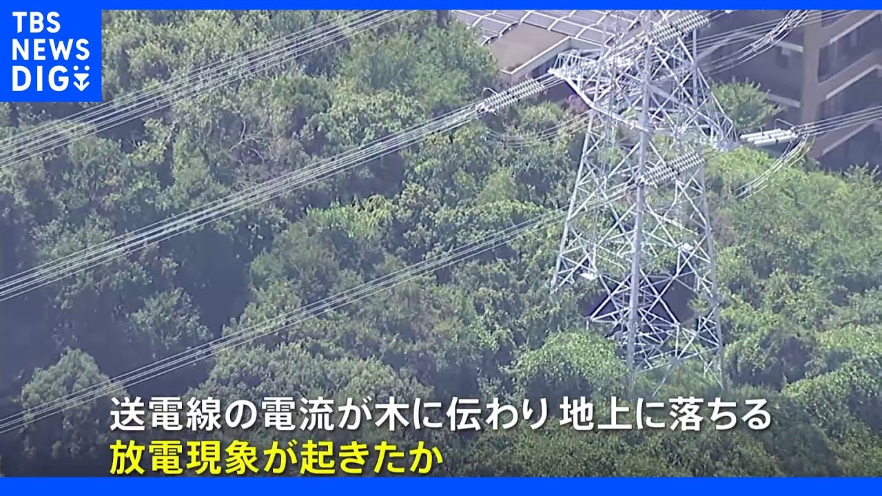 横浜・泉区で「爆発音」と通報相次ぐ&nbsp;送電線から木に放電か｜TBS&nbsp;NEWS&nbsp;DIG