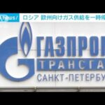 ロシア国営ガス会社「ノルドストリーム」一時停止　欧州のガス価格高騰(2022年8月20日)