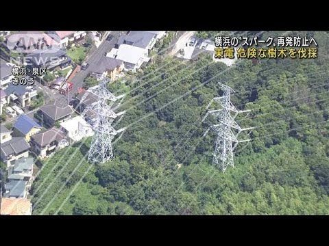 東京電力「スパーク」再発防止へ 危険な樹木を伐採(2022年8月20日)