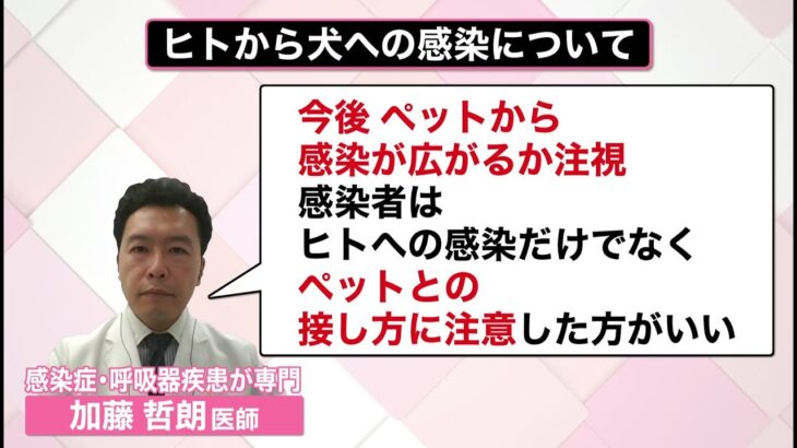 【ライブ】注目ニュース解説「知りたいッ！」まとめ　サル痘“人から犬に感染”初確認/「過去“統一教会”と関係」新閣僚ら次々と…/「改良型ワクチン」 ――など（日テレNEWS LIVE）