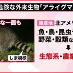 【ライブ】危険生物“襲来”/酷暑日と超熱帯夜/サル痘“人から犬に感染”/「パンドラの箱」党として調査をしない2つのワケ　など ――ニュース解説「知りたいッ！」まとめ（日テレNEWS LIVE）