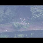 京都のトロッコ列車　倒木で２１日から運転休止　現場の地盤調査始まる　大雨で地盤が緩んでいるおそれ