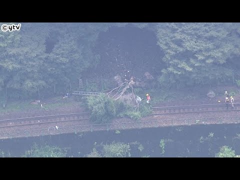 京都のトロッコ列車　倒木で２１日から運転休止　現場の地盤調査始まる　大雨で地盤が緩んでいるおそれ