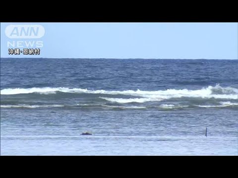 波に流された観光客の家族助けようと…男性死亡 沖縄(2022年8月22日)
