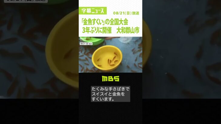「金魚すくい」全国大会が３年ぶりに開催　約１０００人が参加　奈良・大和郡山市（2022年8月21日）#Shorts #金魚すくい #全国大会