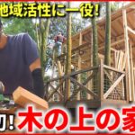 【ツリーハウス】建てるワケは？四国初の”木の上の家” で地域活性へ 　愛媛　NNNセレクション