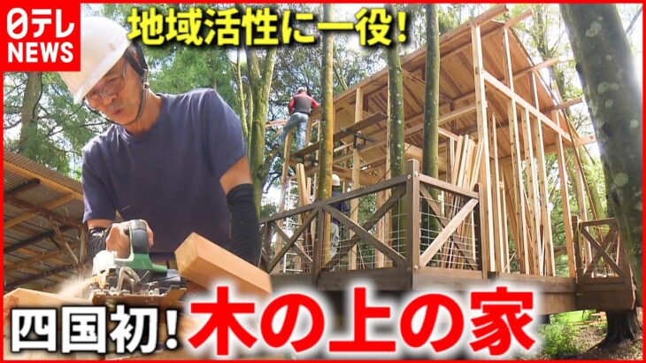 【ツリーハウス】建てるワケは？四国初の”木の上の家” で地域活性へ 　愛媛　NNNセレクション